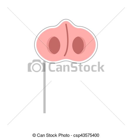 450x470 Pig Nose Mask On Stick. Pigs Snout Props For Photographing