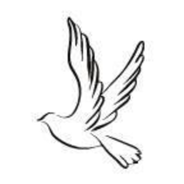 600x600 Latest Pigeon Tattoo Designs On Dove Tattoo Designs Simple Bird
