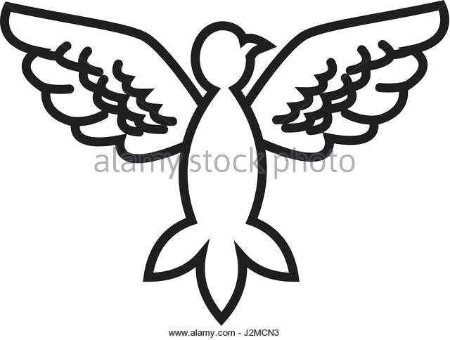 640x484 Outline Graceful Dove And Pigeon Birds Set In Sketch Style Outline