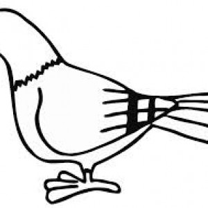300x300 Pigeon Outline Picture For Small Kids