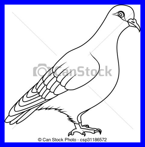 480x487 Inspiring Flying Dove Royalty Vector Image Vectorstock Pic