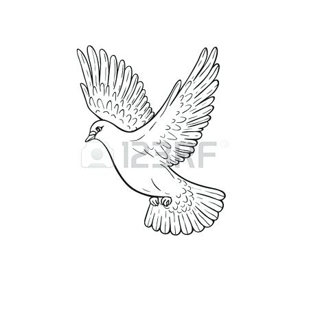 450x450 Doves Flying Drawing Dove Flying Royalty Free Pigeon Kings Doves