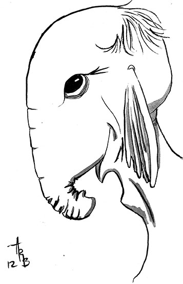 357x553 Inky Phalangies Thoughts First 2012 Night Of Drink And Draw