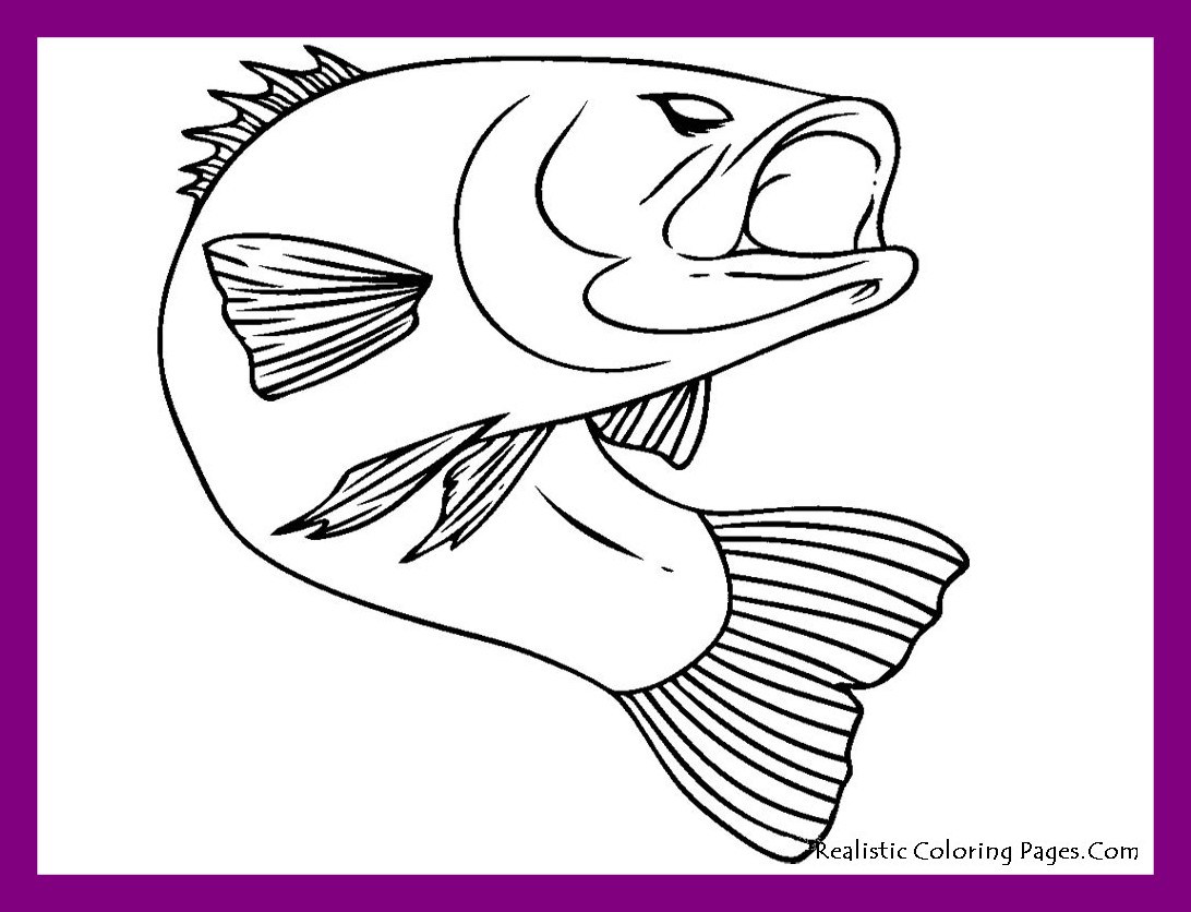 1092x836 Inspiring Pike Fish Drawing At Getdrawings For Personal Use
