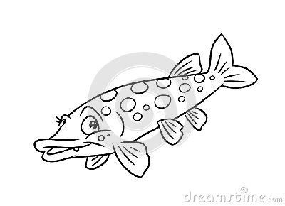 400x290 Pike Fish Illustration Coloring Pages Fish Coloring Pages