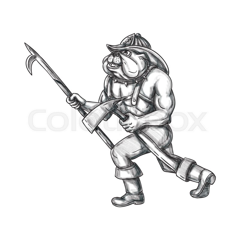 800x800 Tattoo Style Illustration Of A Bulldog Firefighter Holding Pike