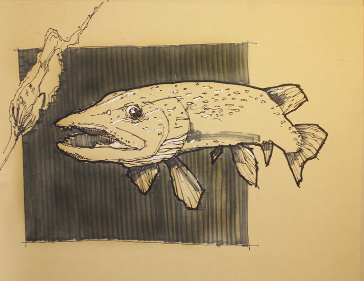 720x556 Drawing Flies 365 Drawing Fish 52 6 Northern Pike