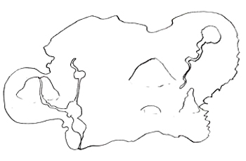 350x229 How To Draw A Pirate Map