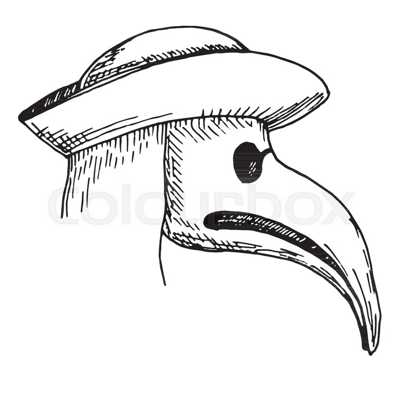 800x800 Sketch Plague Doctor Head Profile, With Bird Mask And Hat. Stock