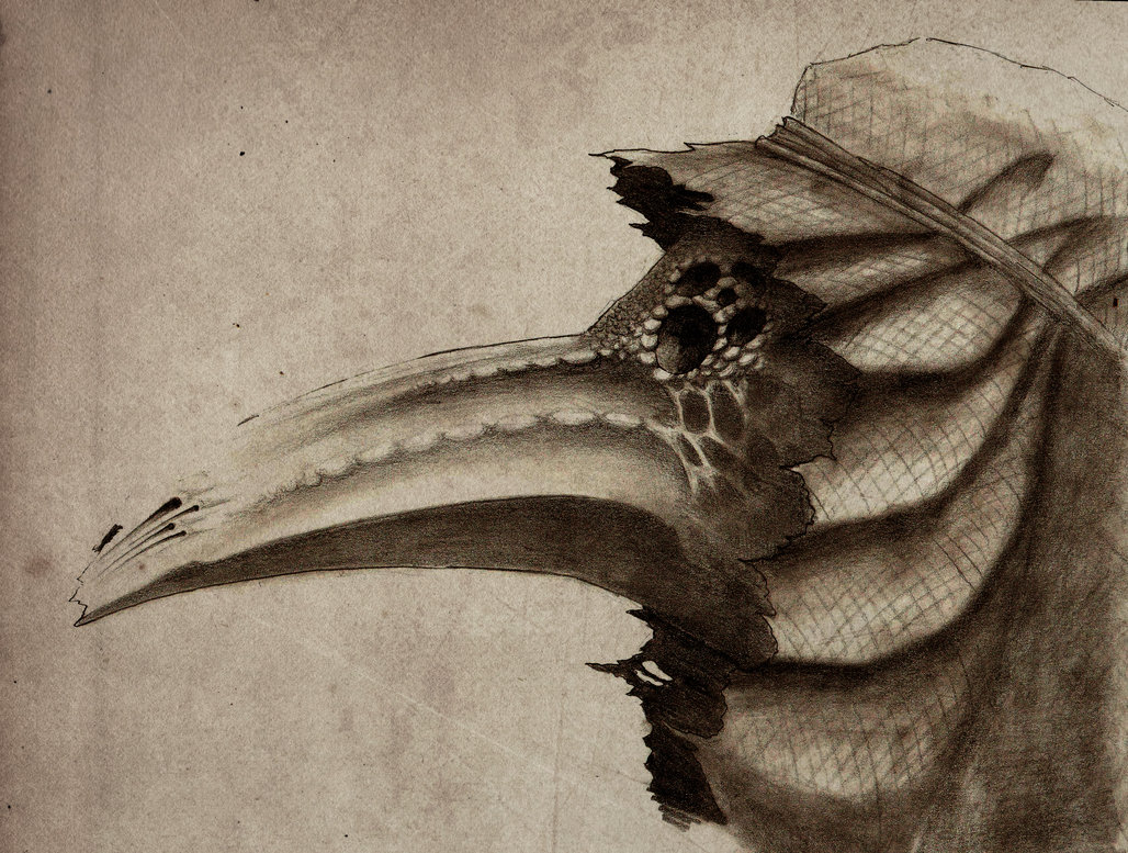 1028x777 Weathered Plague Doctor By Scklyic