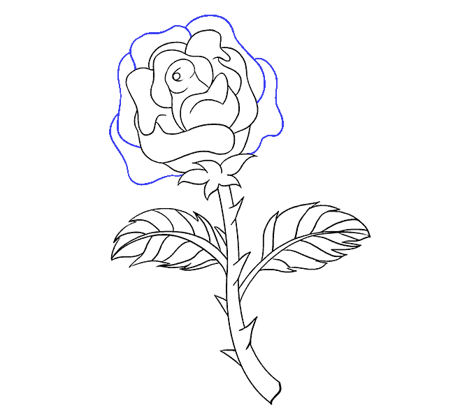 678x600 How To Draw A Rose In A Few Easy Steps Easy Drawing Guides
