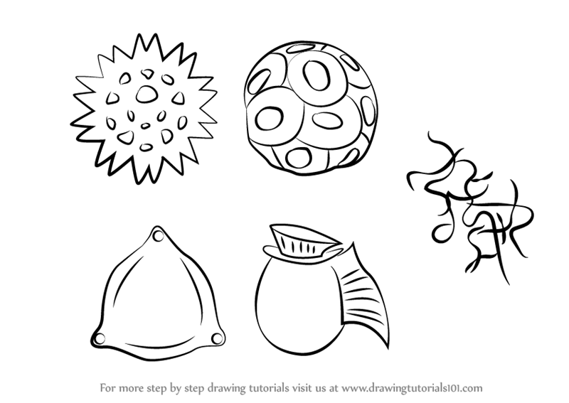 800x567 Learn How To Draw Phytoplankton (Plants) Step By Step Drawing