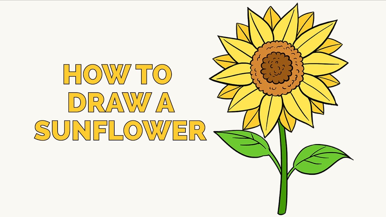 1280x720 How To Draw A Sunflower