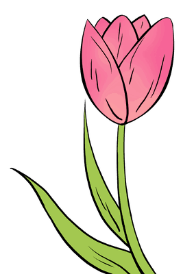 283x400 How To Draw A Tulip Really Easy Drawing Tutorial Easy Drawing
