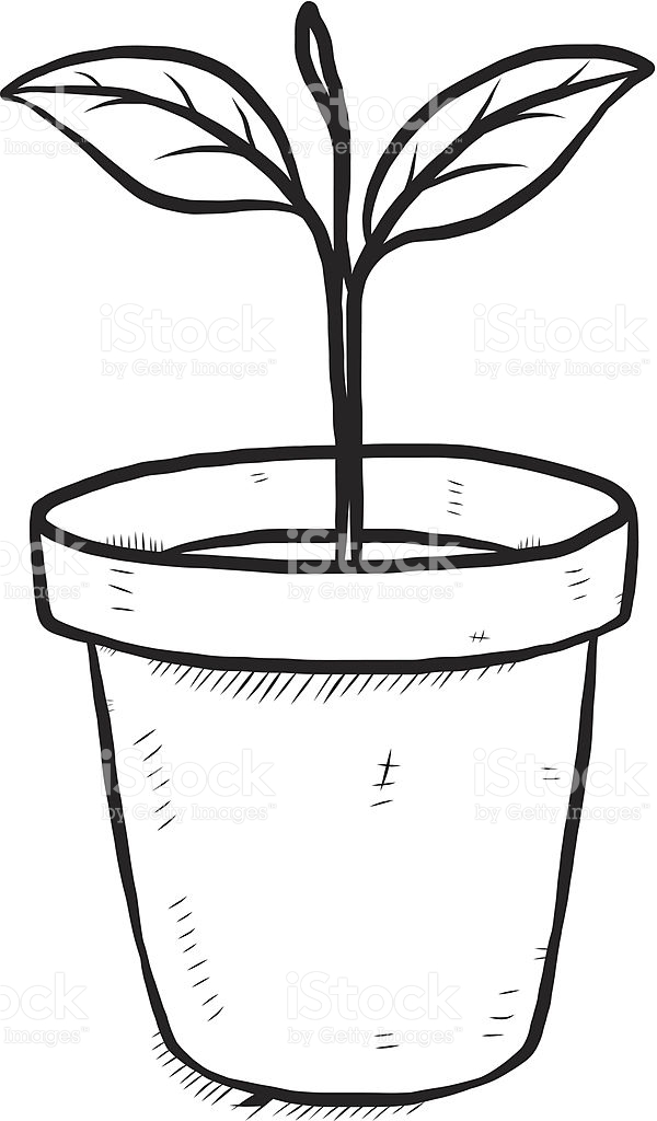 600x1024 Drawn Pot Plant Black And White 3412482