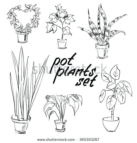 450x470 House Plant Drawing House Plant In Flower Pot Home Design 3d