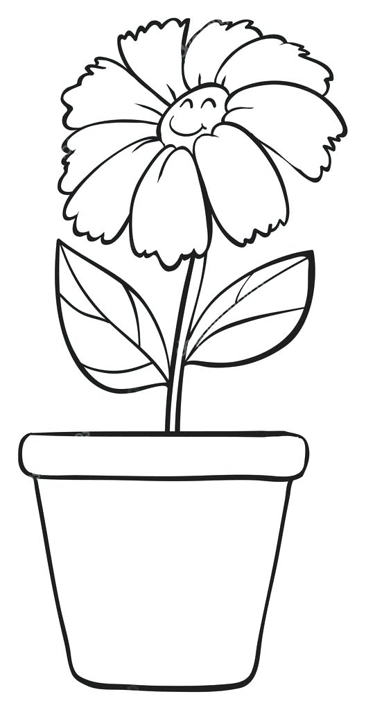 Plant In Pot Drawing