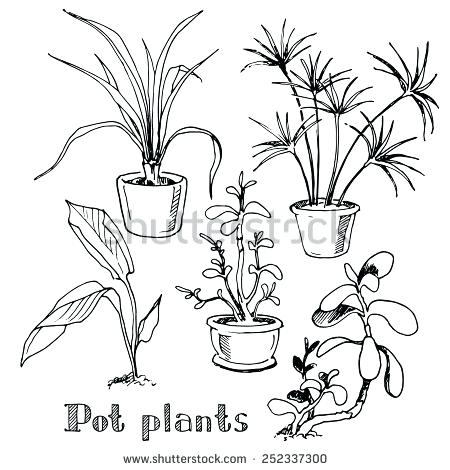 450x470 Black Pots For Plants Large Black Garden Pots Garden Design