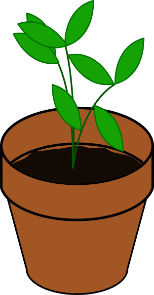 312x597 Plant In Pot Clip Art
