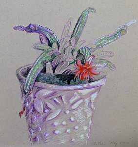 283x300 Plant Pot Drawings