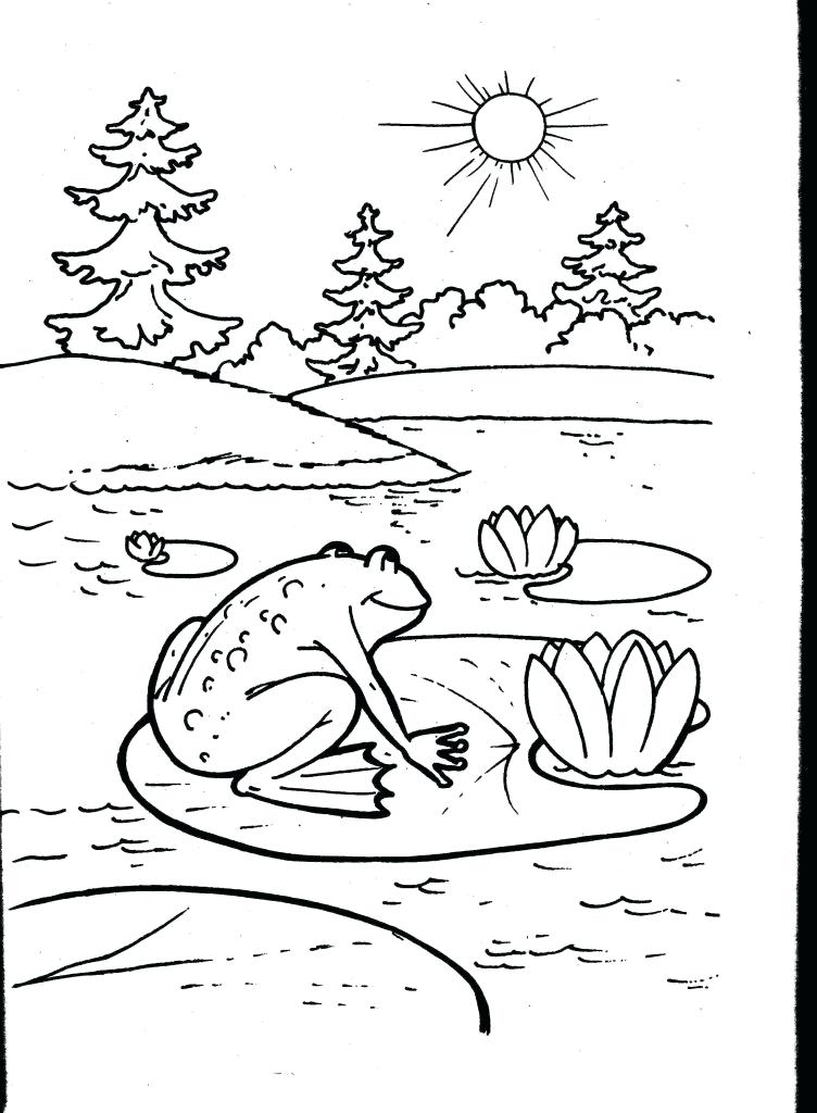 752x1024 Frog Life Cycle Coloring Page Plant L On Lovely Meeting Butterfly