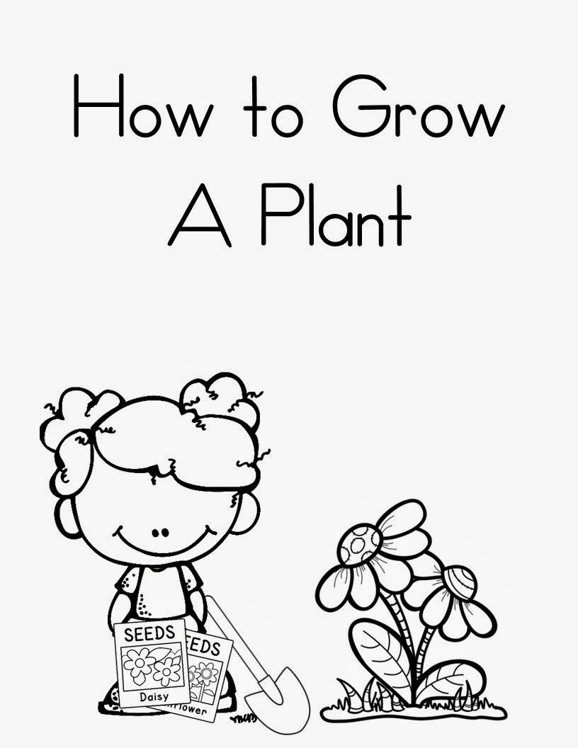 816x1056 How To Grow A Plant Book Kindergarten School Pre