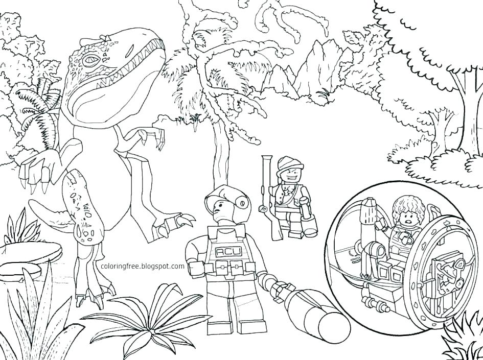 945x705 Pumpkin Life Cycle Coloring Page Pumpkin Life Cycle Coloring Page