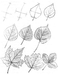 236x306 Image Result Drawing Trees Step By Step All Art Ideas