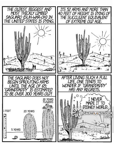 400x536 Plantation Cartoons And Comics