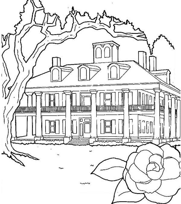 600x674 Plantation Coloring Pages