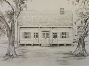 300x222 Tree Plantation Drawings Fine Art America