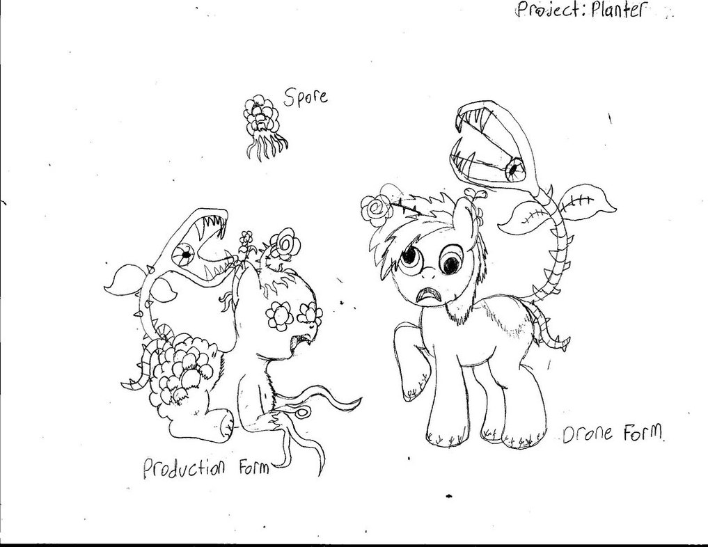 1017x786 Project Planter Pony Concept Art By Spellboundcanvas