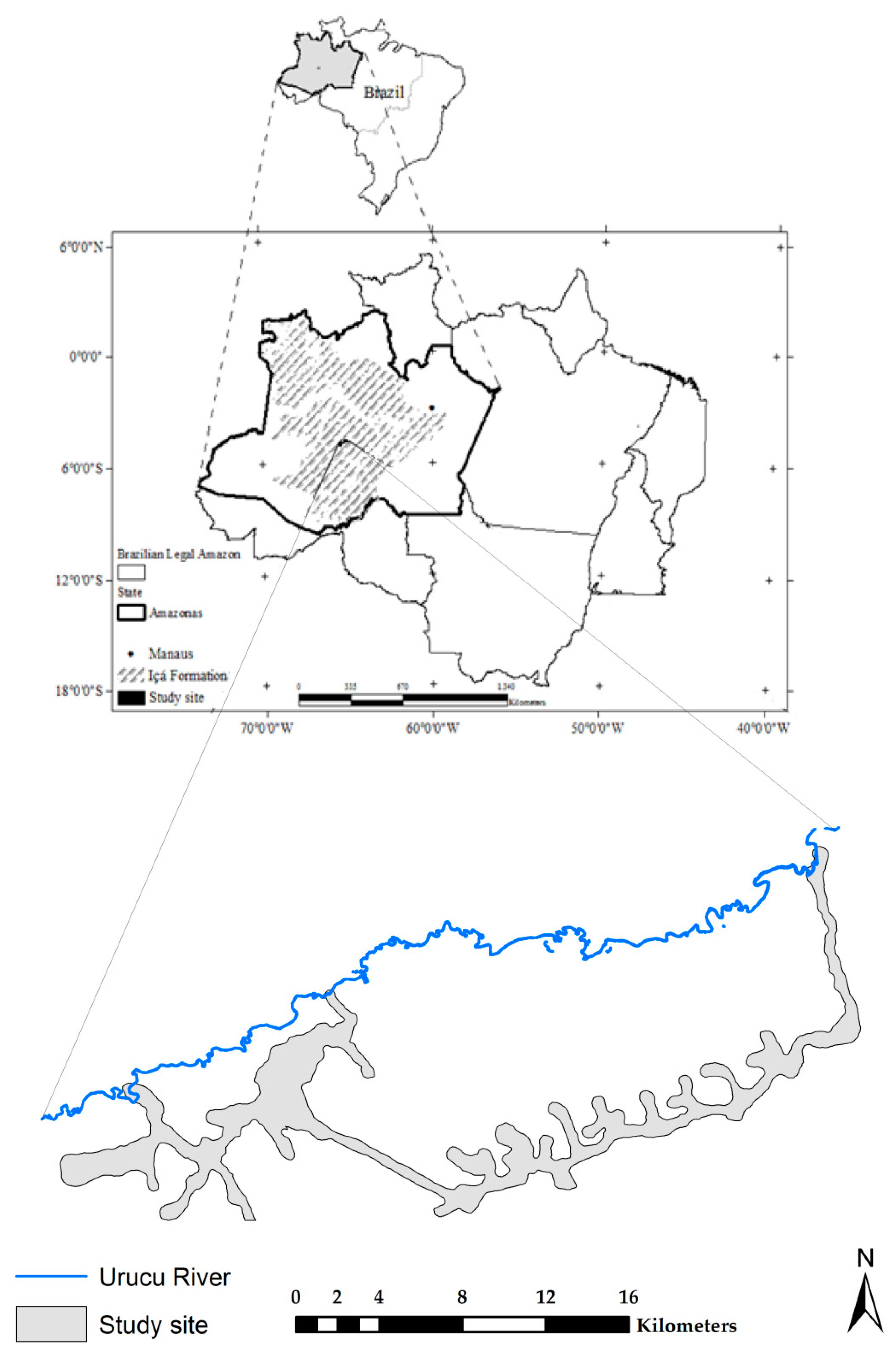 2864x4370 Great Platform Balance Laboratory Apparatus