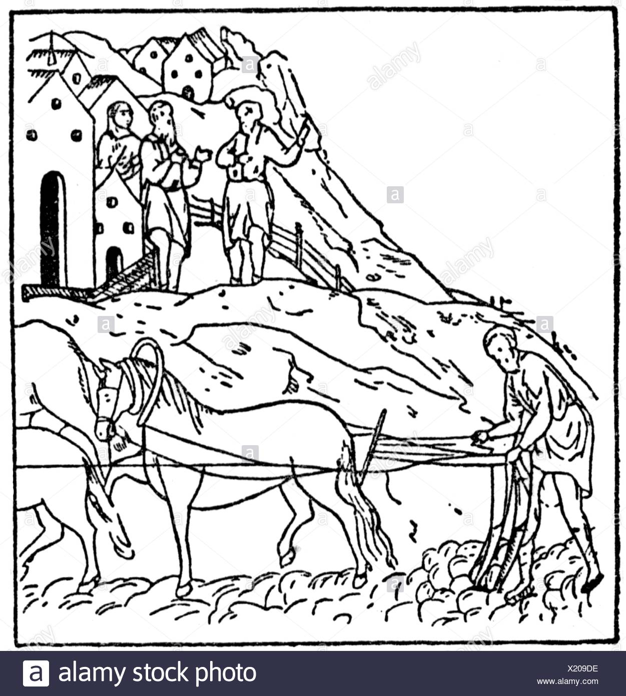 1251x1390 Agriculture Agricultural Work Plowing Peasants With Plough After