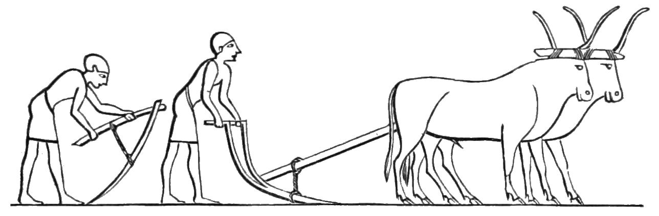 1288x423 Filepsm V18 D467 Ancient Egyptian Hoe And Plough.jpg