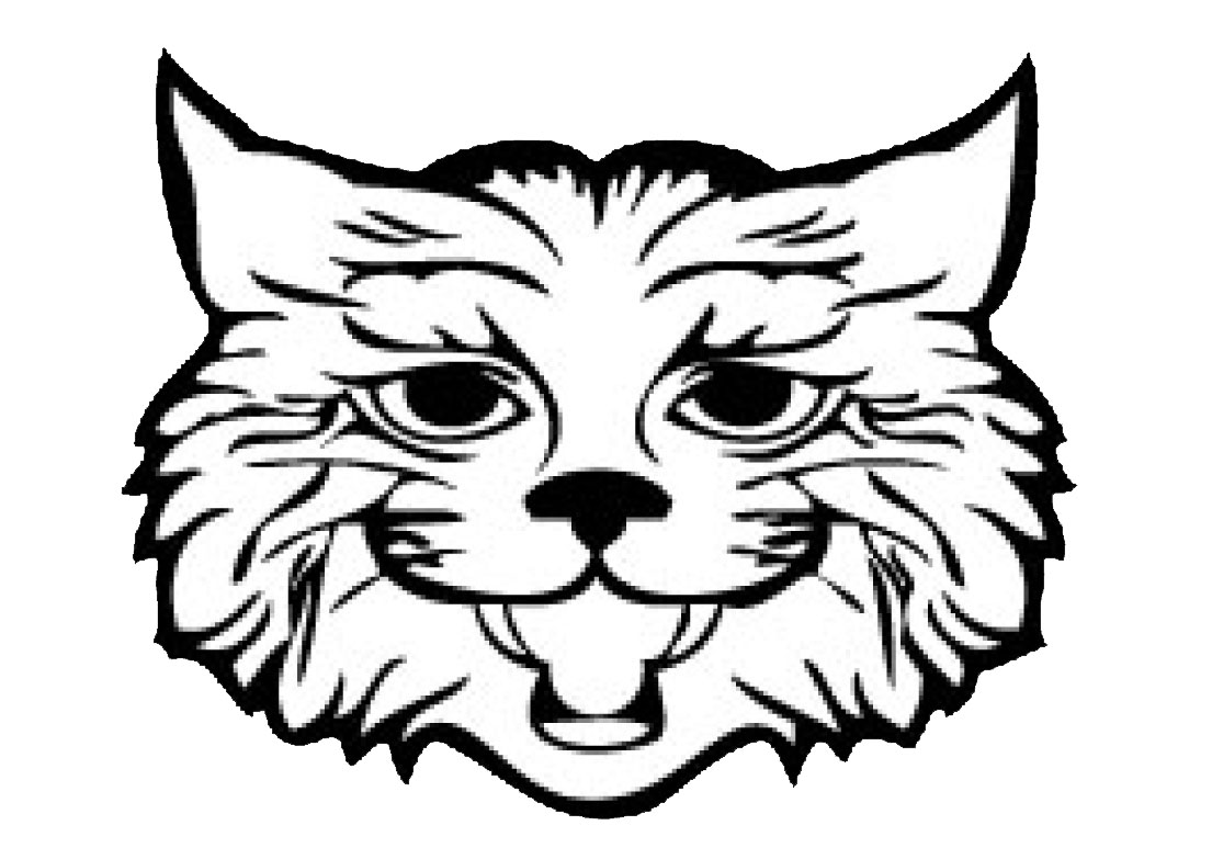 1105x773 Plover Whiting Homepage