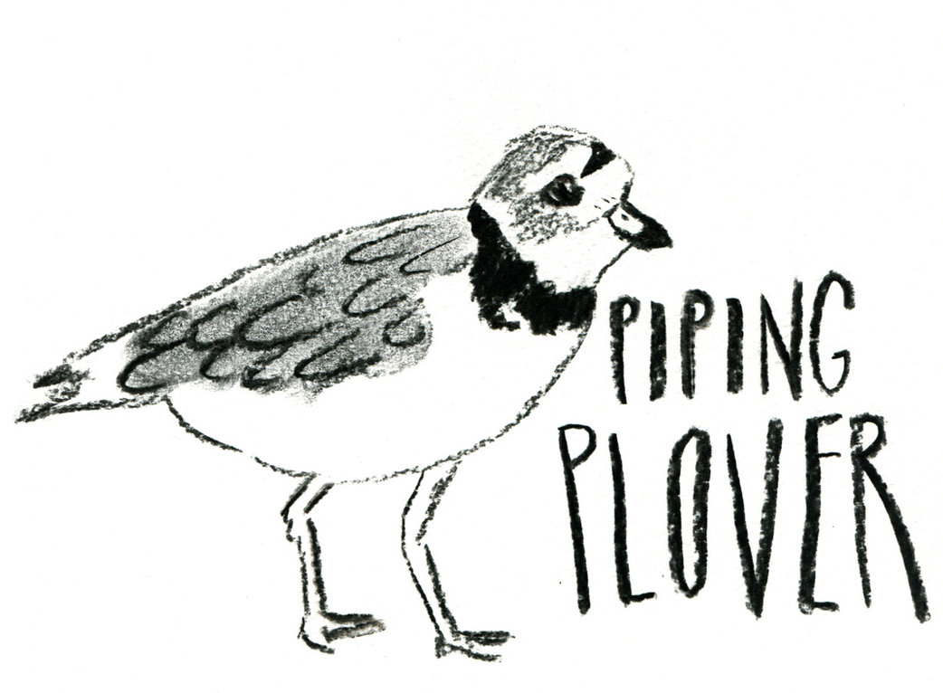 1042x766 Day Two Hundred And Ninety Two