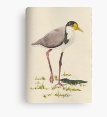 210x230 Plover Drawing Canvas Prints Redbubble