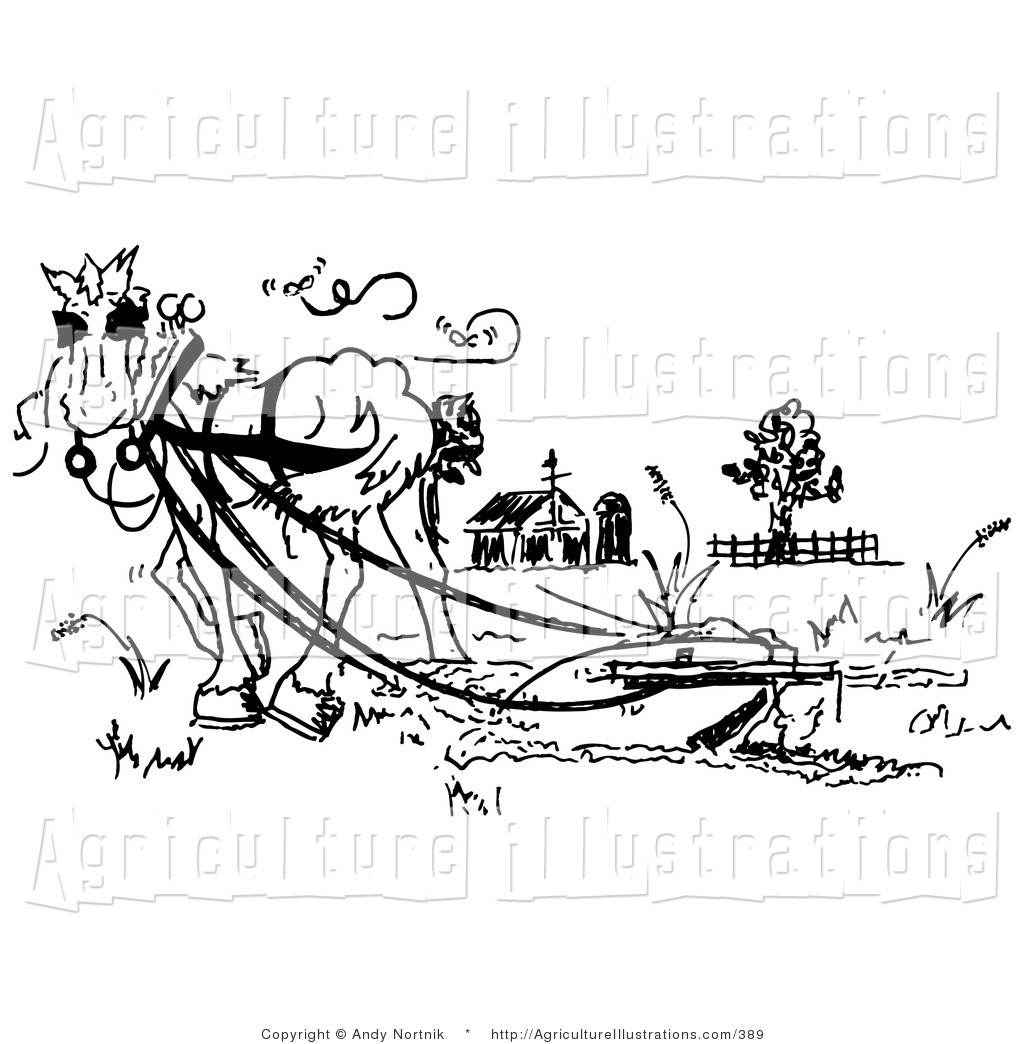 1024x1044 Agriculture Clipart Of A Black And White Drawing Of A Horse