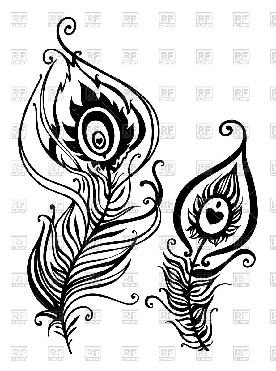 893x1200 Beautiful Stylized Peacock Feather