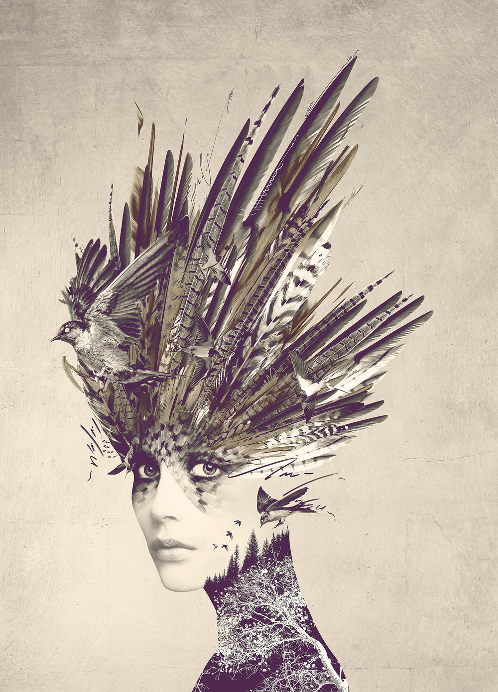 1000x1391 The Plume Tin Design