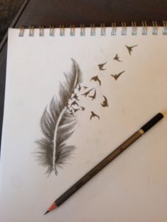 236x314 Oiseau Legende Plumes1 Journals Creative, Feathers