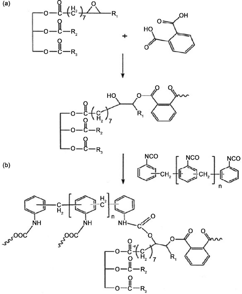 850x1031 A) Ring Opening Reaction Of Epoo By Phthalic Acid To Form