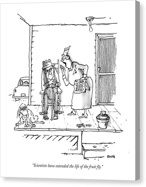 487x622 Front Porch Canvas Prints