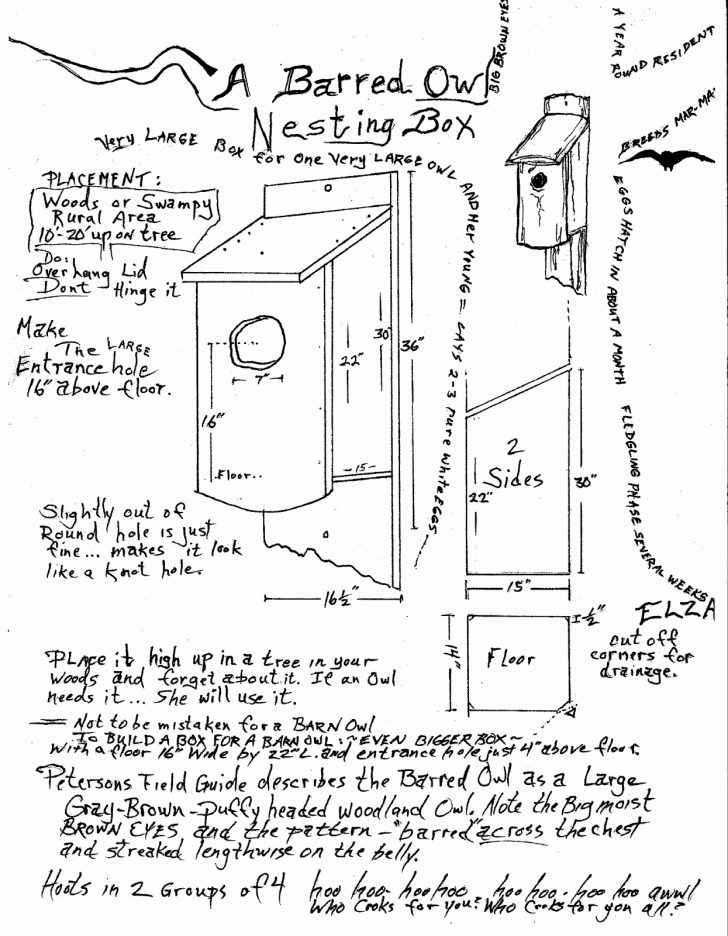 728x936 Barred Owlse Plans Birdhouse Nest Boxseplans Great Horned Unique