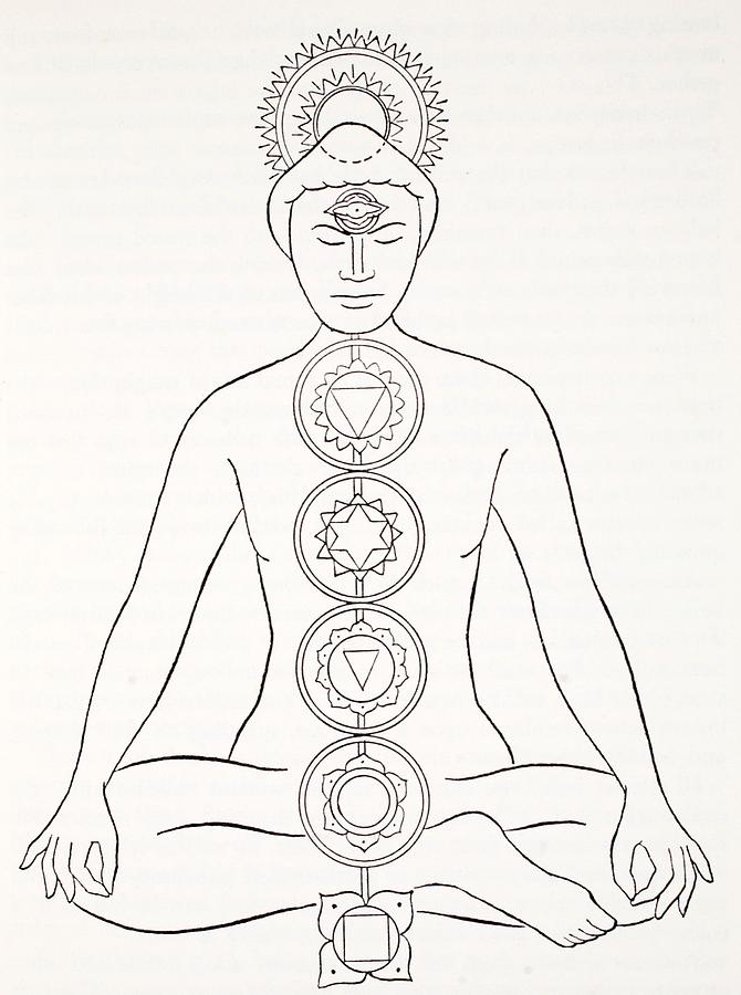 670x900 Padmasana Or Lotus Position Drawing By English School