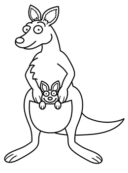 260x351 Collection Of Kangaroo Pouch Drawing High Quality, Free