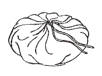 352x262 Leather Pouch