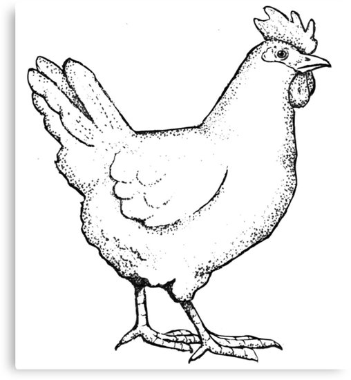 508x550 Drawing Of A Chicken, Hen Outline Art Canvas Prints By Joyce