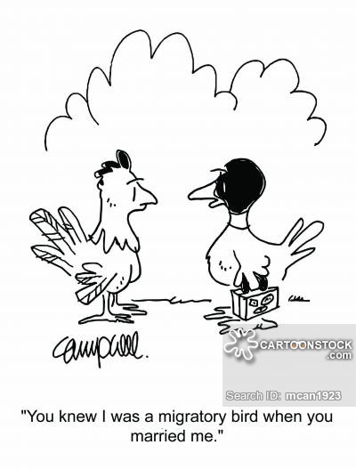 400x527 Poultry Farming Cartoons And Comics